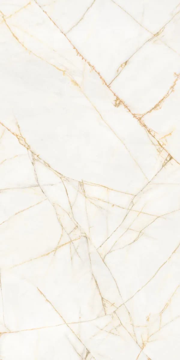 Керамогранит PF60017518 Supreme Hedonism Golden Spider Nat R 60x120 — фото 2