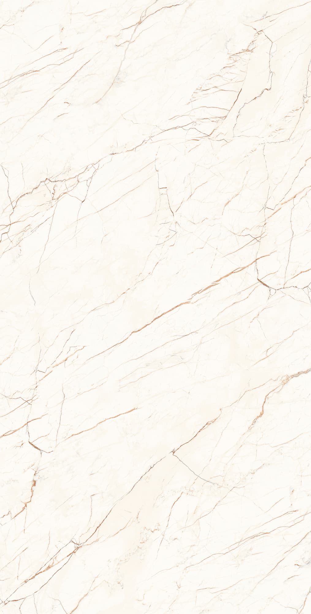 CEASAR — фото 6