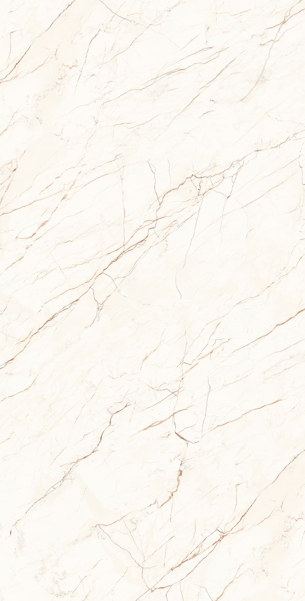 CEASAR — фото 5