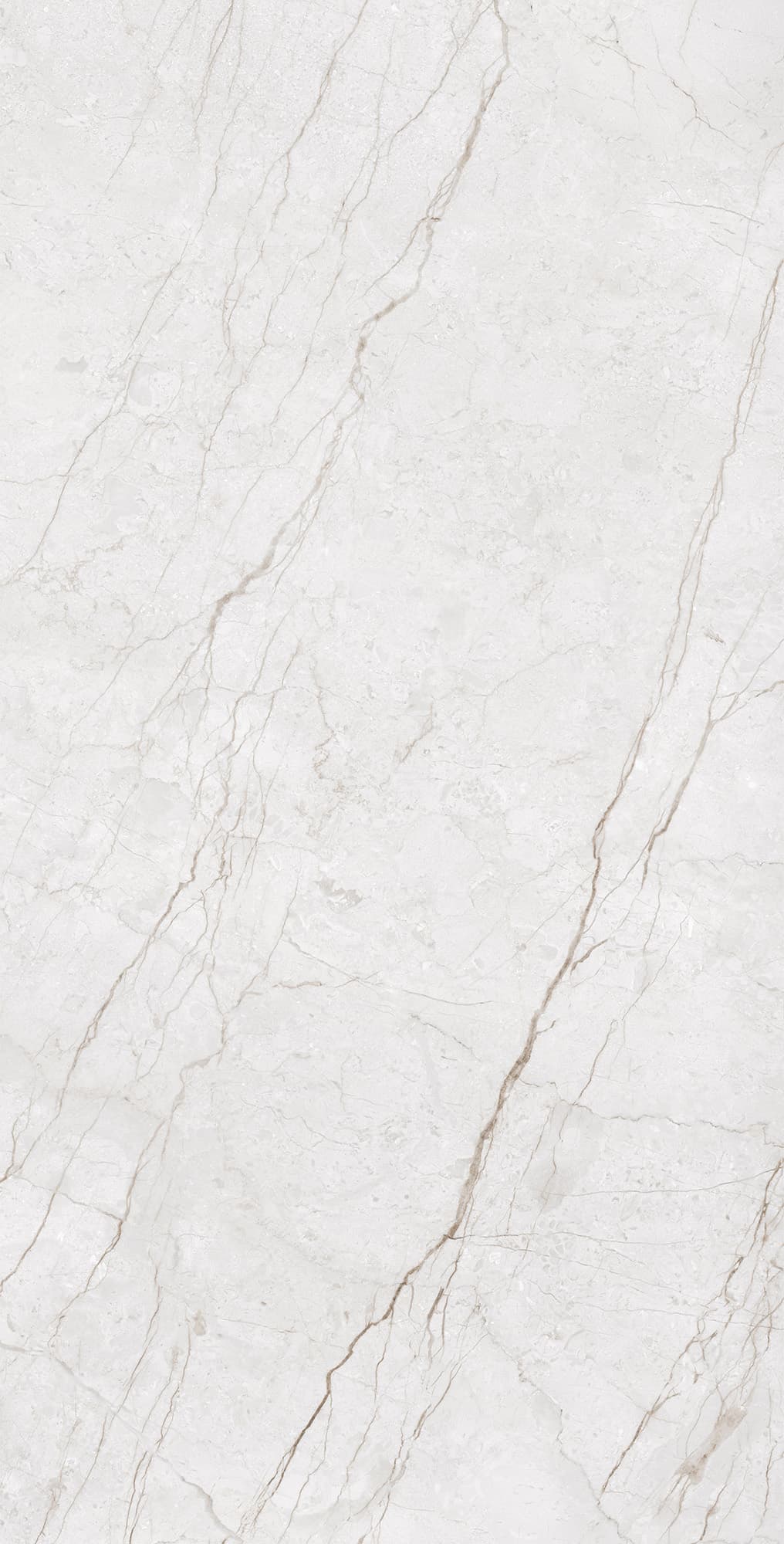 METERIA SILVER — фото 6