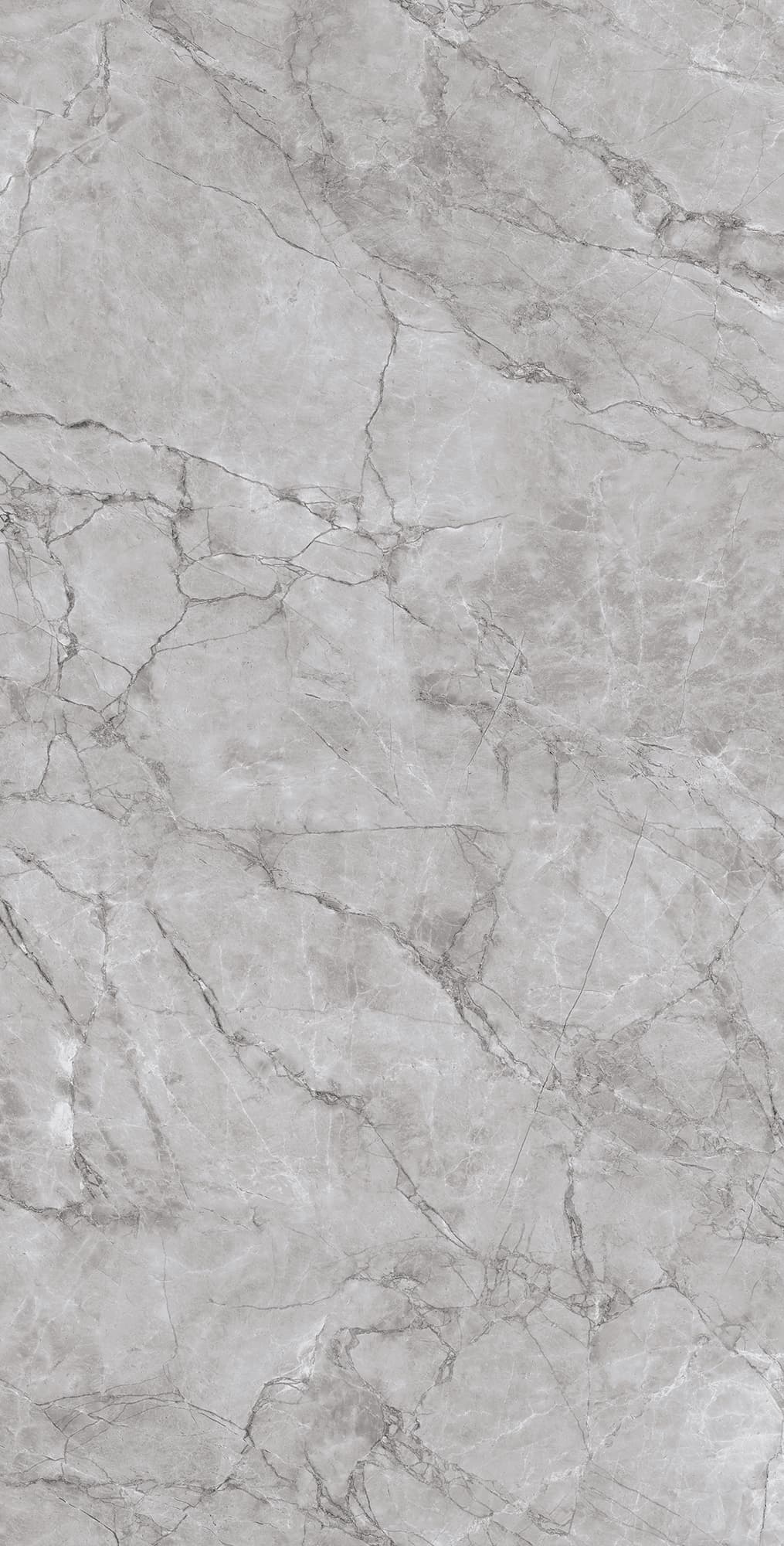 ARCTIC GREY — фото 11