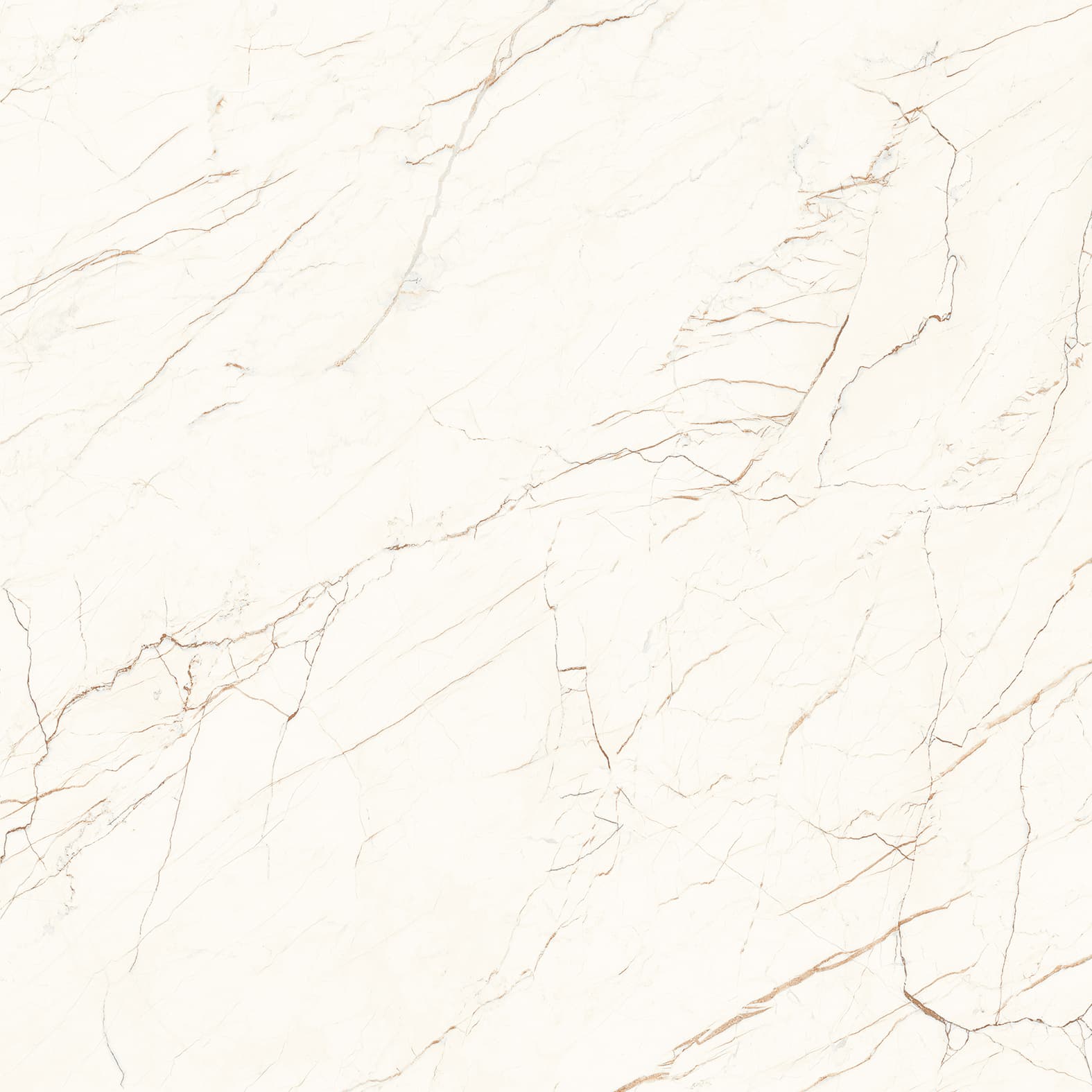 CEASAR — фото 6