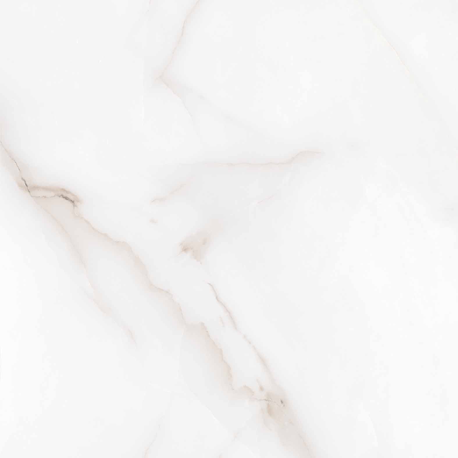 FEATHER ONYX — фото 11