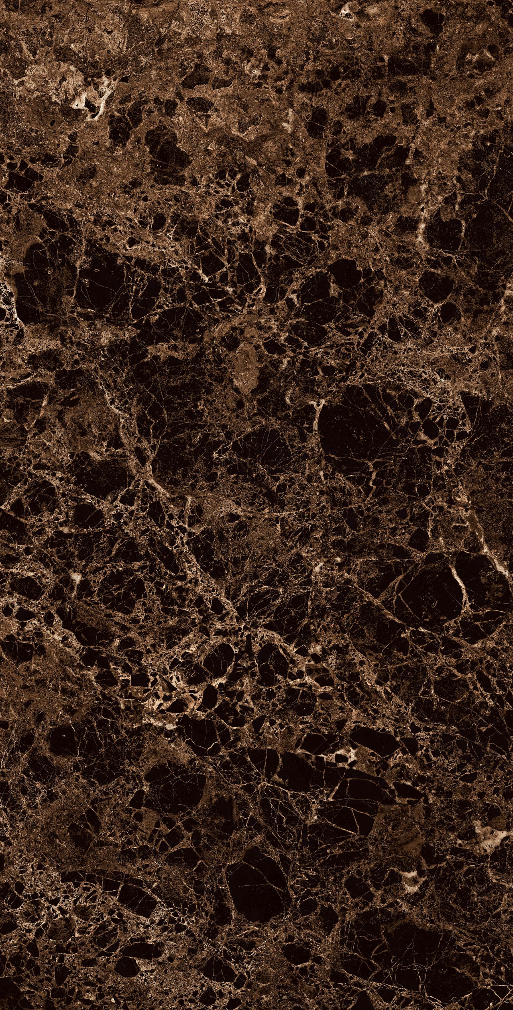 VATICAN EMPERADOR — фото 10