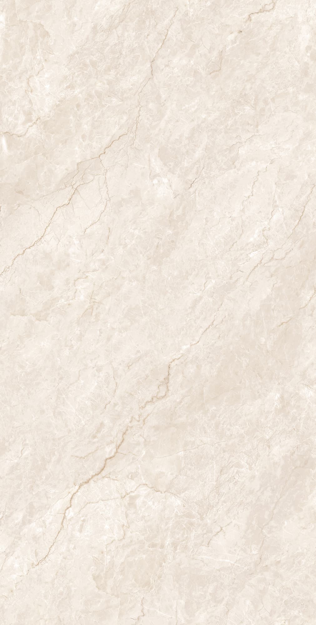 FERROL PEARL — фото 6