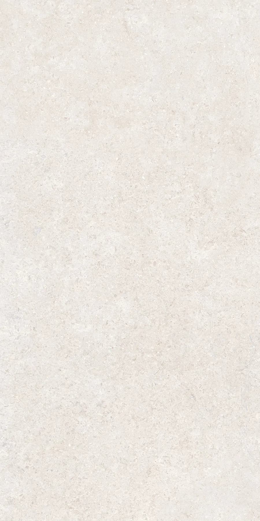 Керамогранит K948597R0001VTER SandStone Белый Матовый R10A Ректификат 60х120 — фото 2