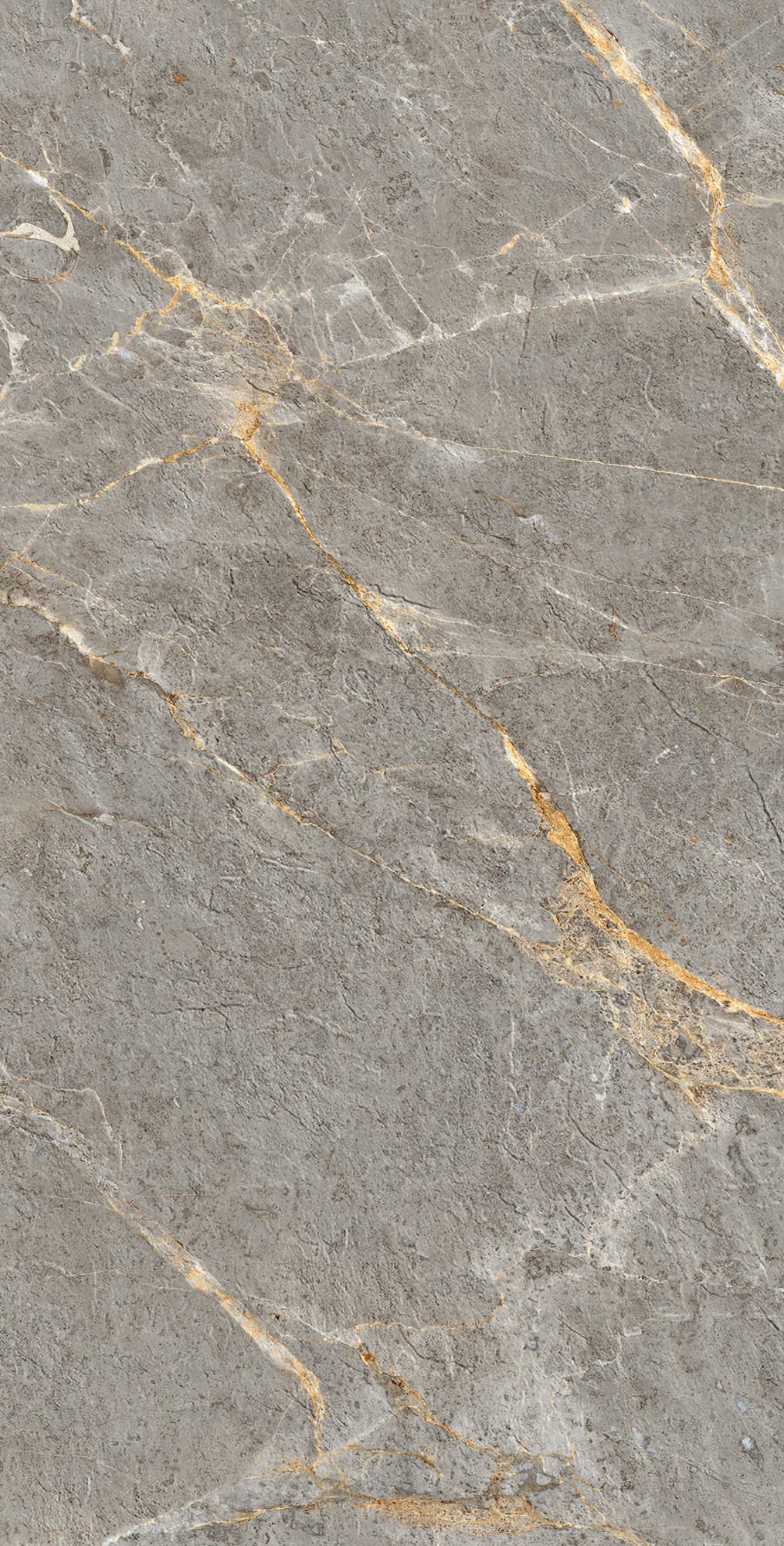 ROYAL GREY — фото 6