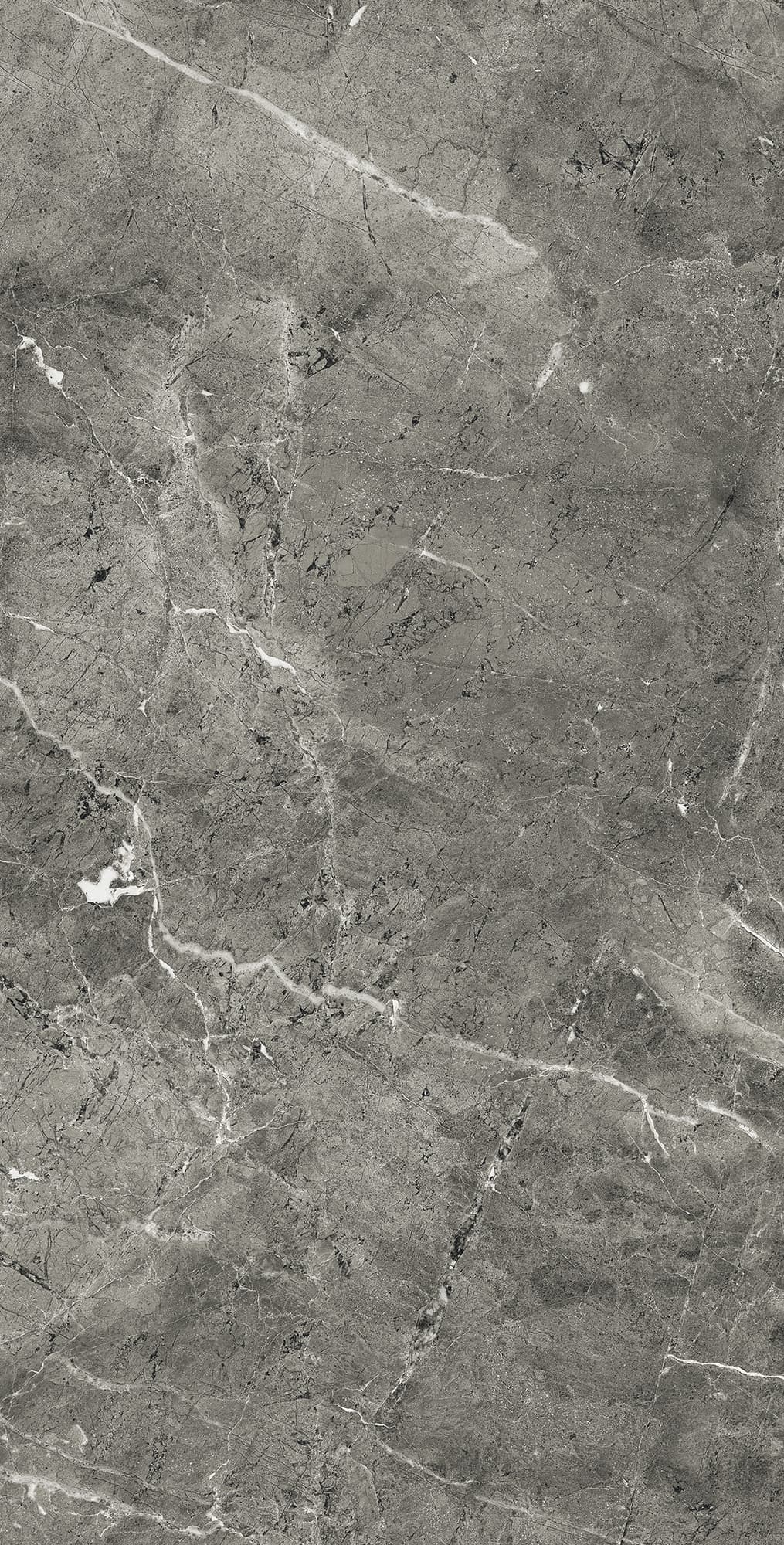 FLORENCIA GREY — фото 10