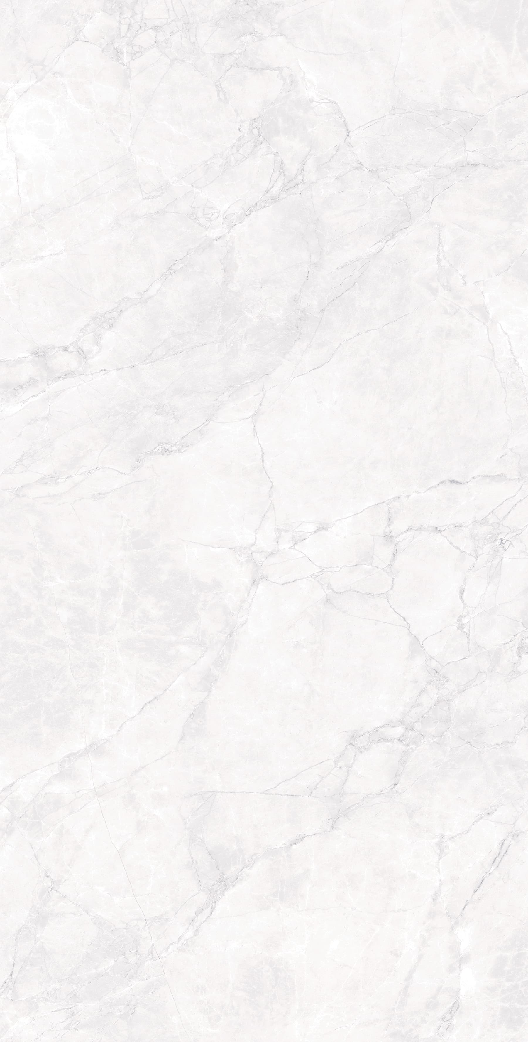 ARCTIC WHITE CARVING — фото 6