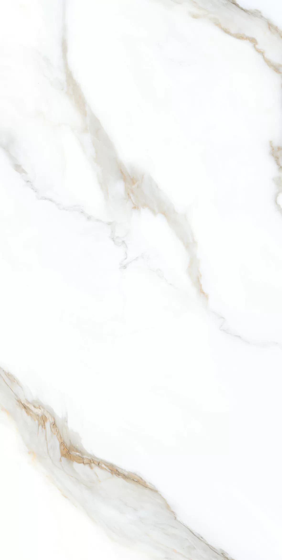 Керамогранит Clear White Grit Granula 60x120 — фото 2