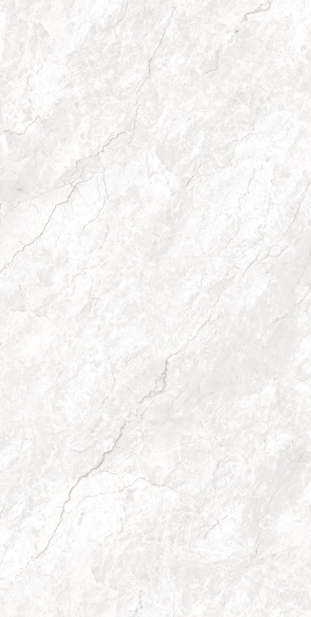 FERROL WHITE — фото 4