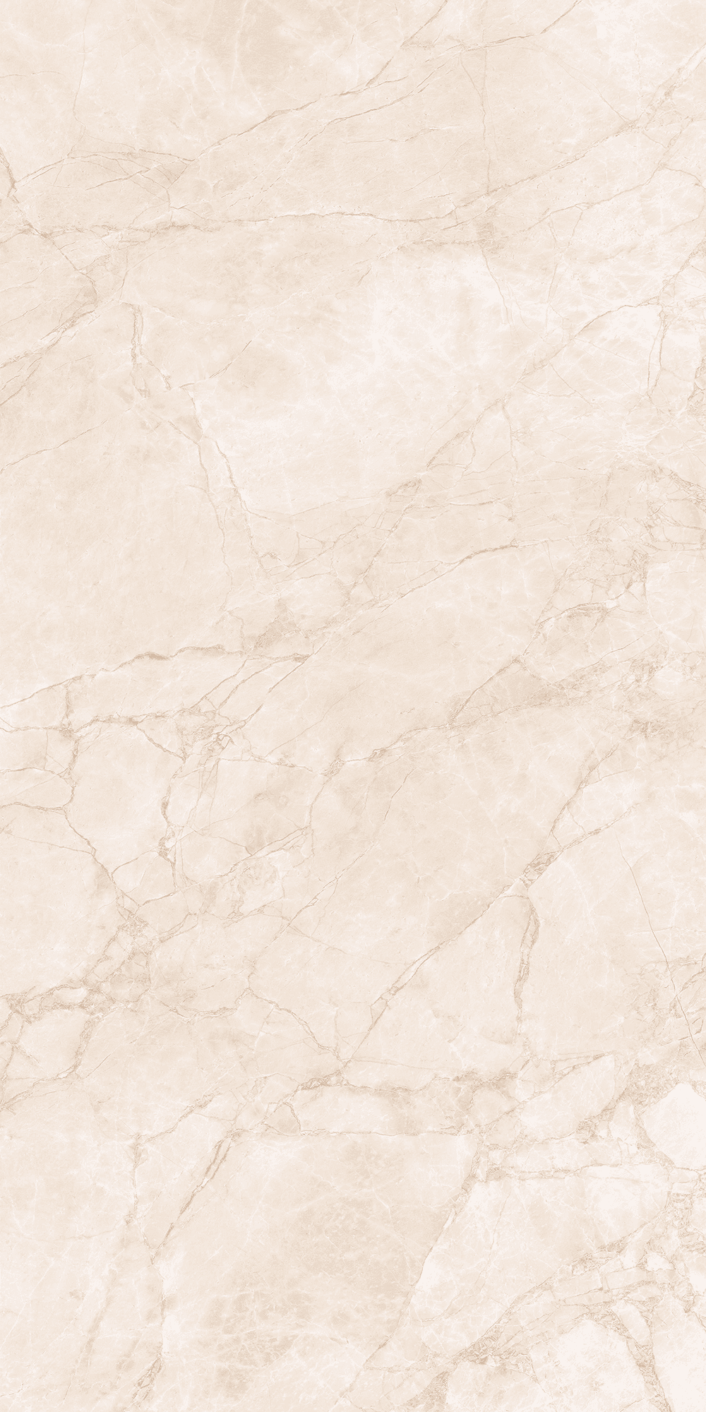 ARCTIC PEARL — фото 7