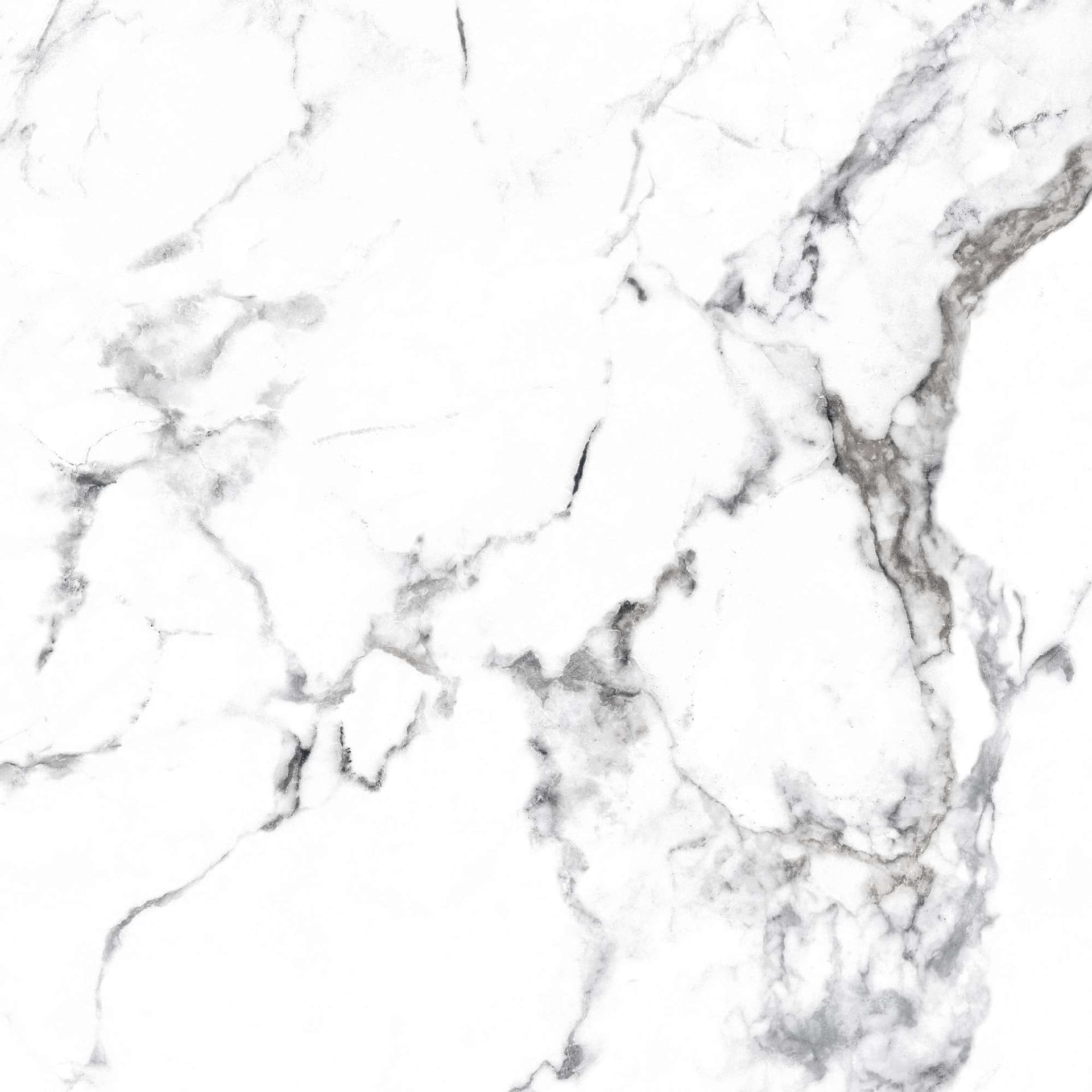 BORGHINI SILVER — фото 12