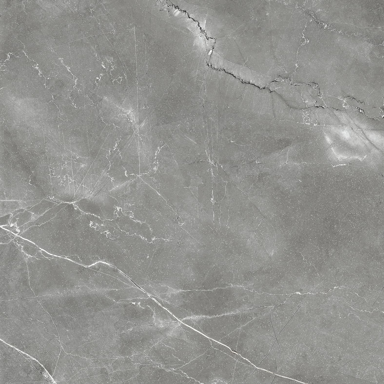 PULPIS NERO — фото 11