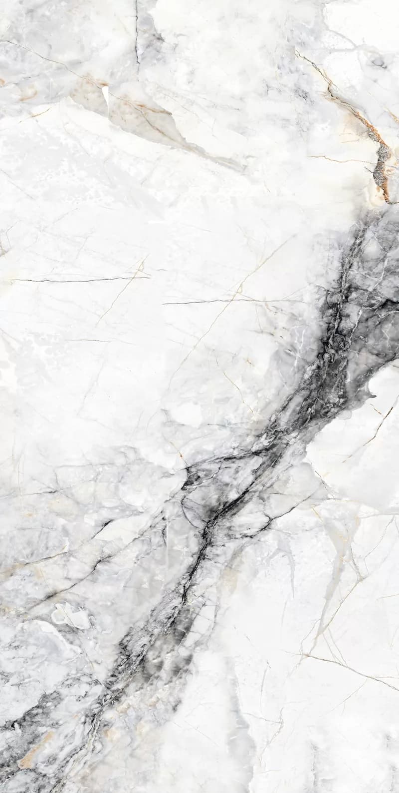 Керамогранит Cleo White Stonelo Carving 60x120 — фото 9