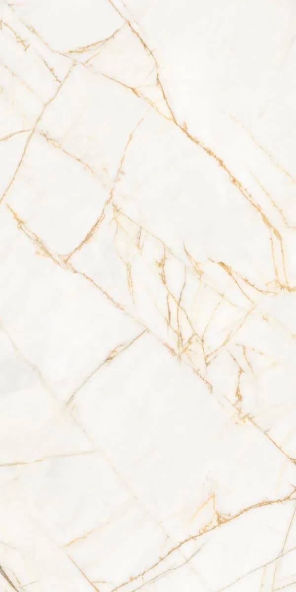 Керамогранит PF60017518 Supreme Hedonism Golden Spider Nat R 60x120 — фото 16