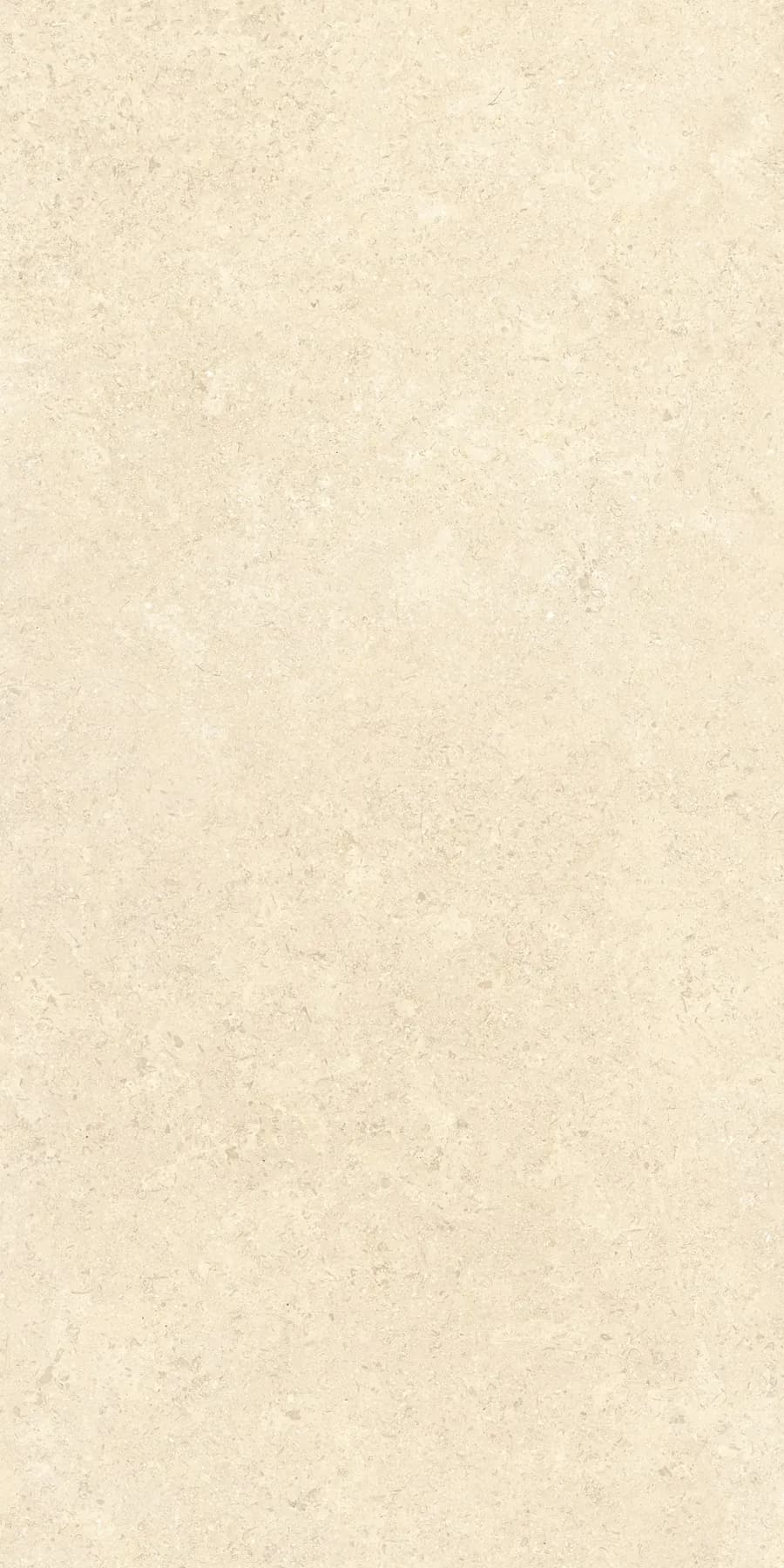 Керамогранит K948598R0001VTER SandStone Песочный Матовый R10A Ректификат 60х120 — фото 4