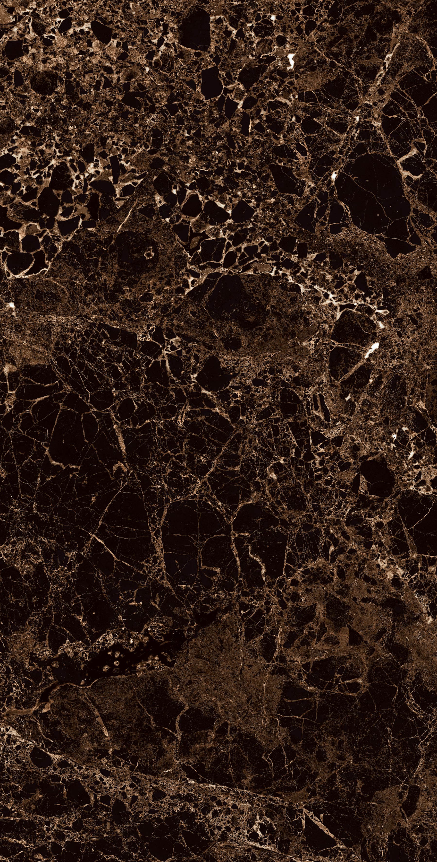 VATICAN EMPERADOR — фото 5