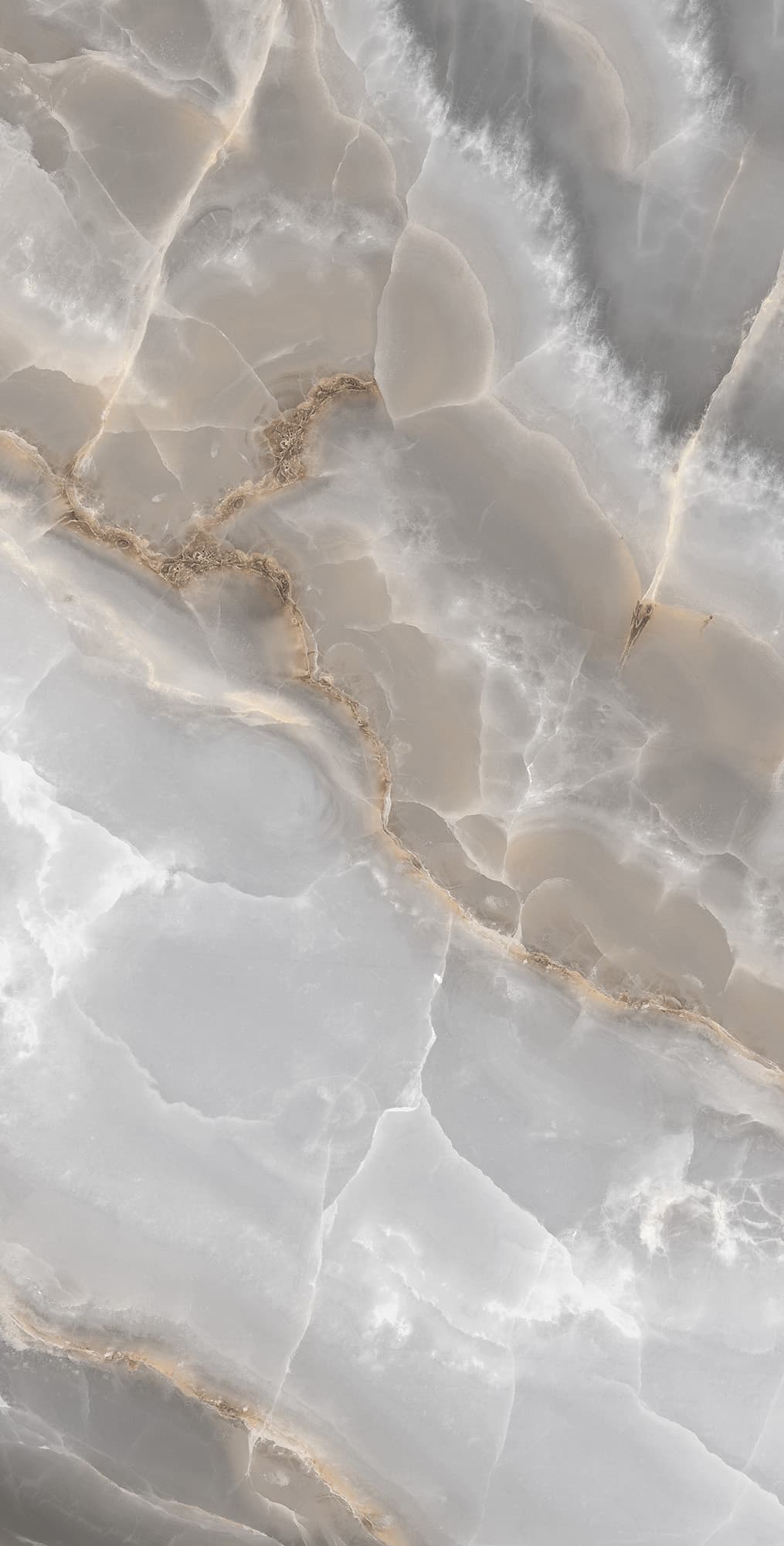 ONYX ROYAL — фото 7