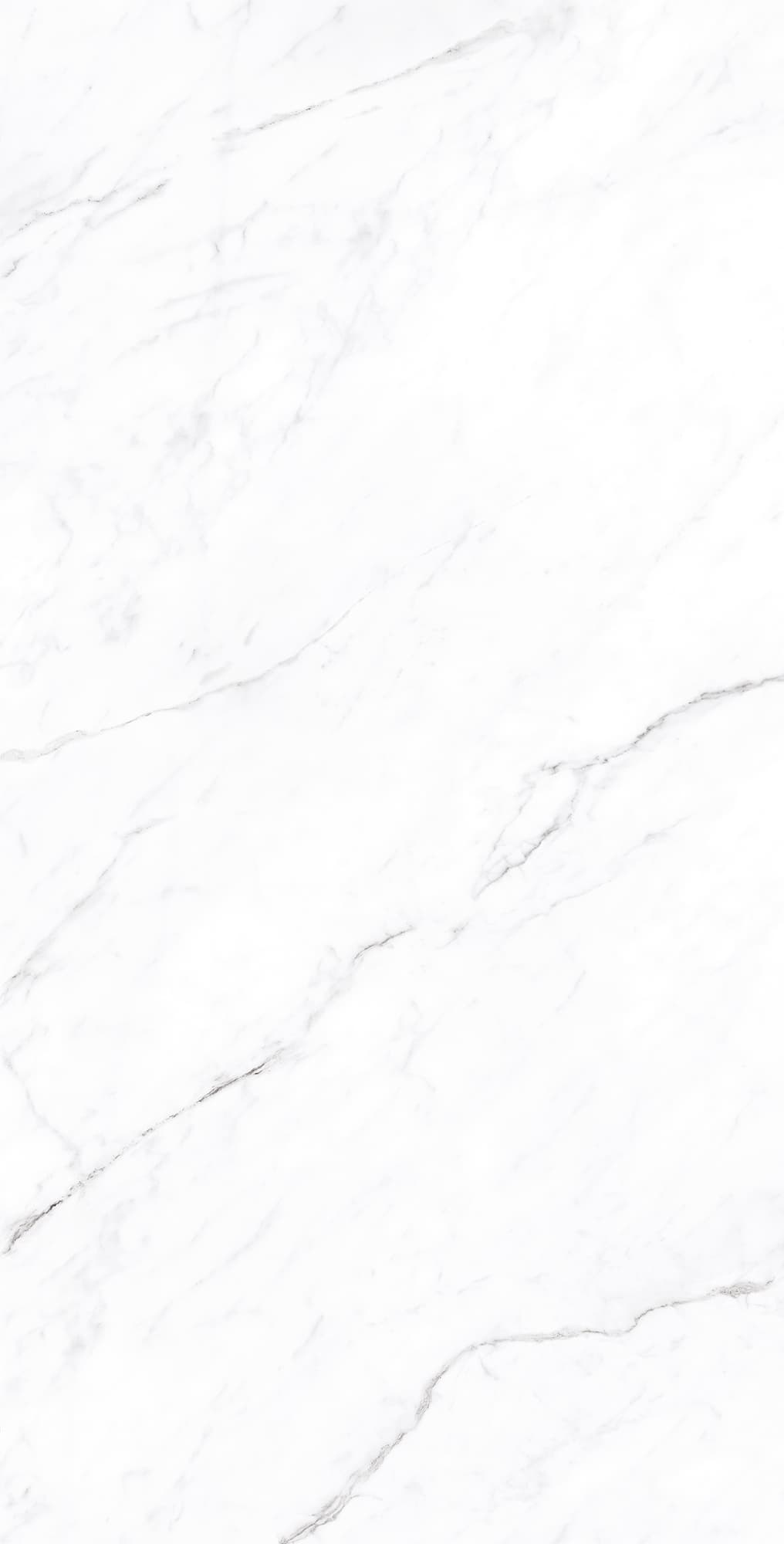 CORALINA WHITE — фото 6