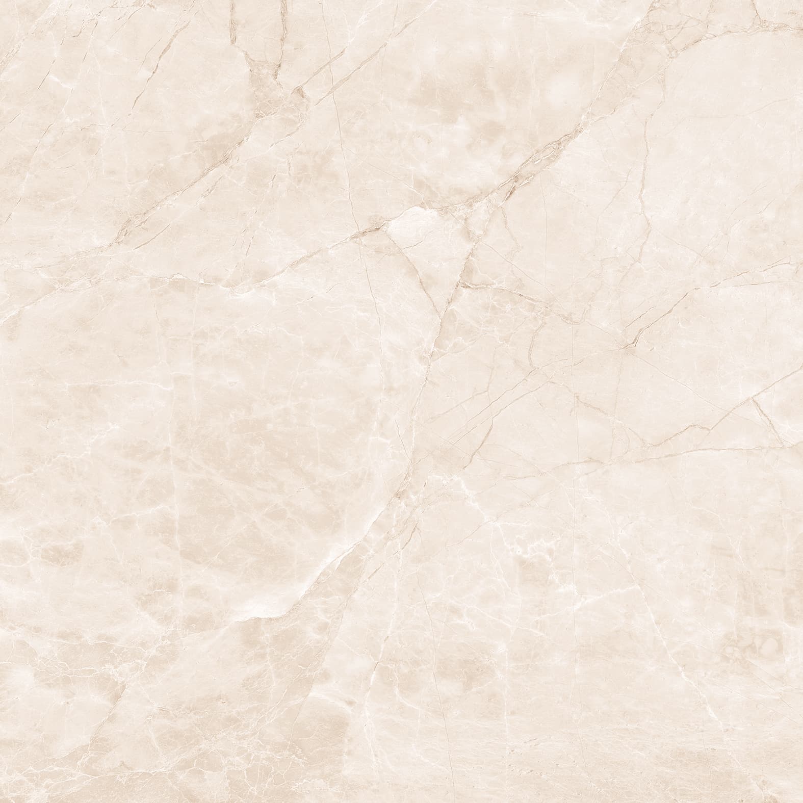 ARCTIC PEARL — фото 8