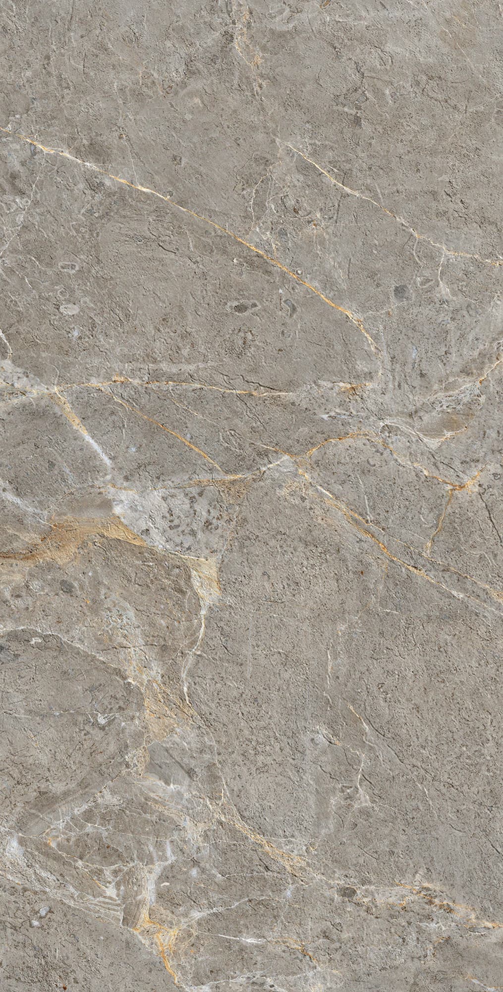 ROYAL GREY — фото 8