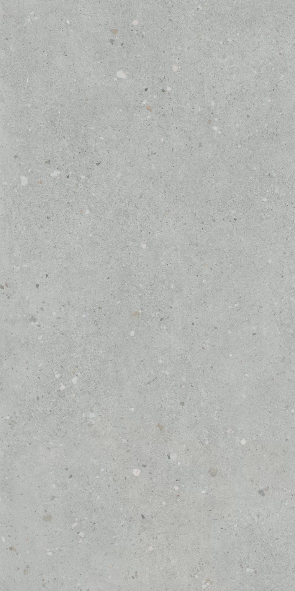 Керамогранит K947893R0001VTER Серый Матовый R10A Ректификат 60x120 — фото 2