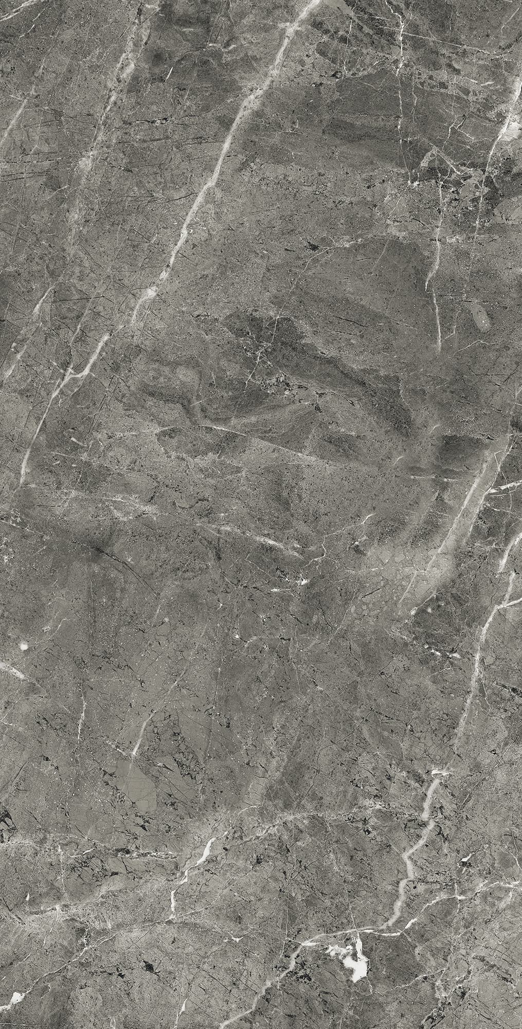 FLORENCIA GREY — фото 7