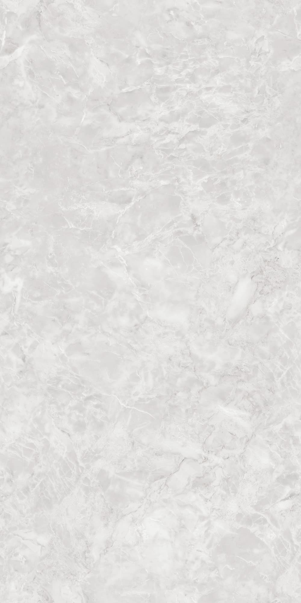 ALASKA BONE — фото 3