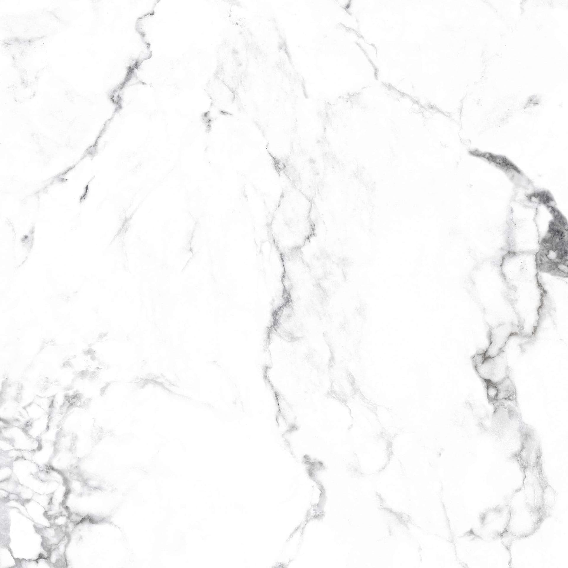 BORGHINI SILVER — фото 15