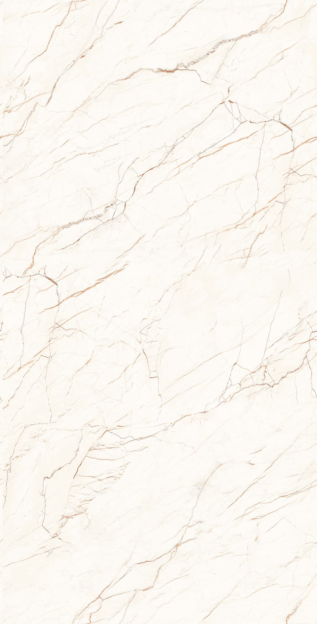 CEASAR LAPPATO — фото 10