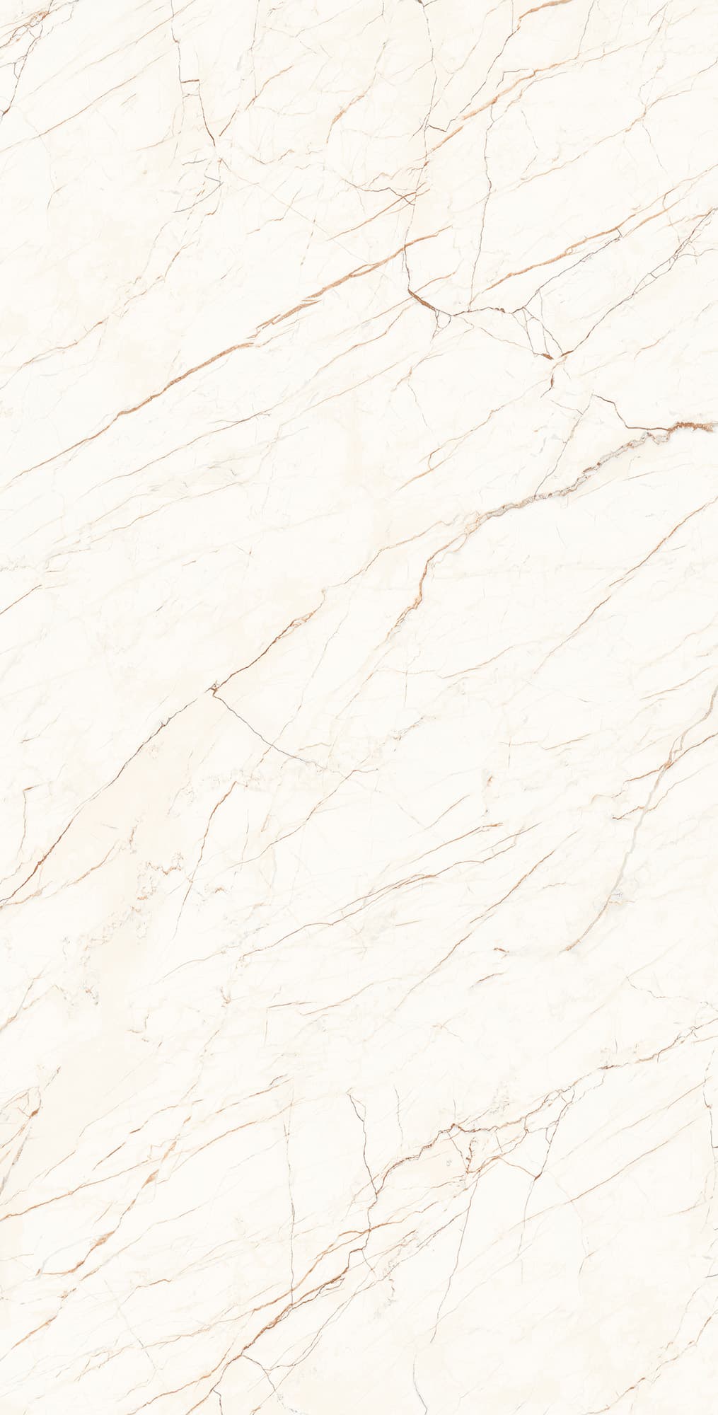 CEASAR — фото 3