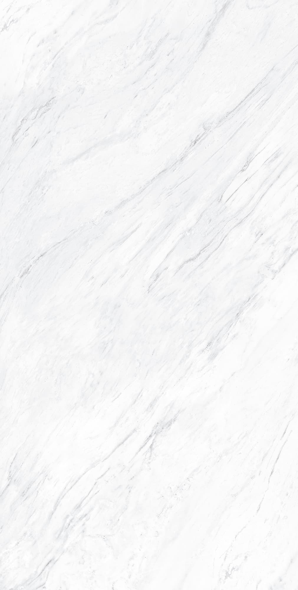 VENTO GREY — фото 8