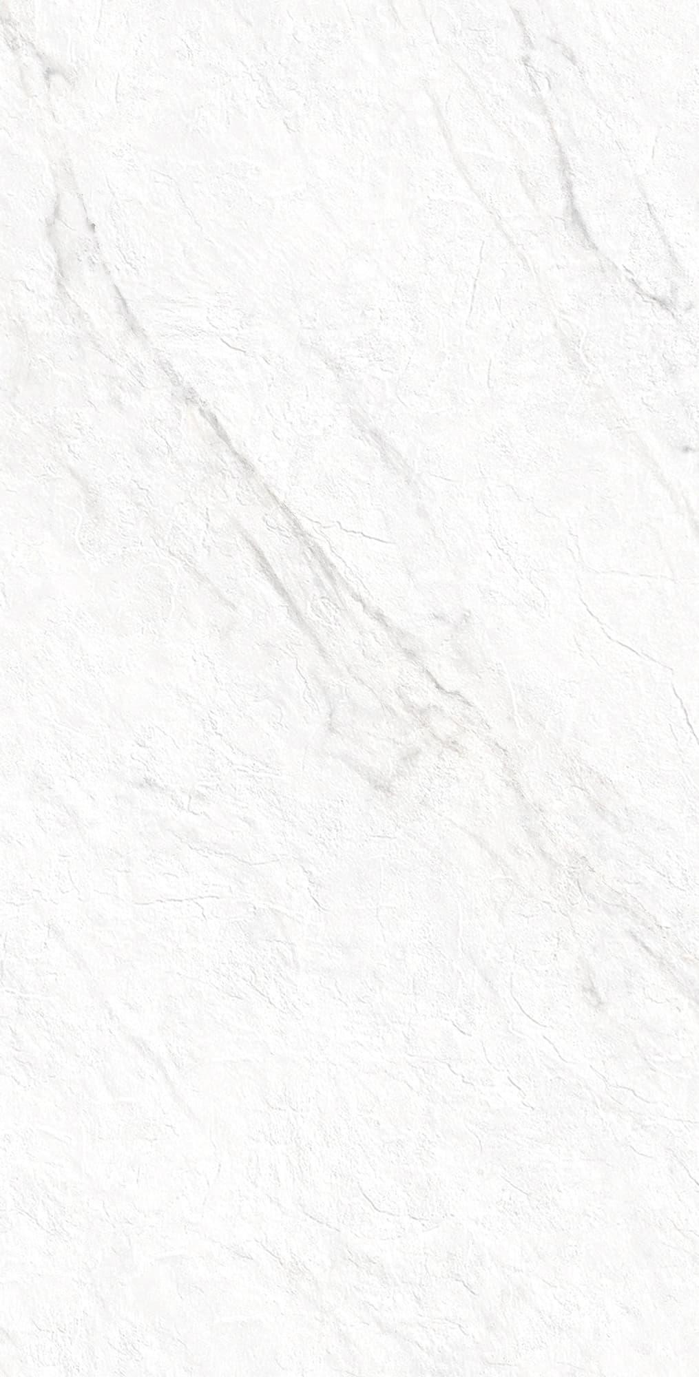 LAZIO BIANCO — фото 10