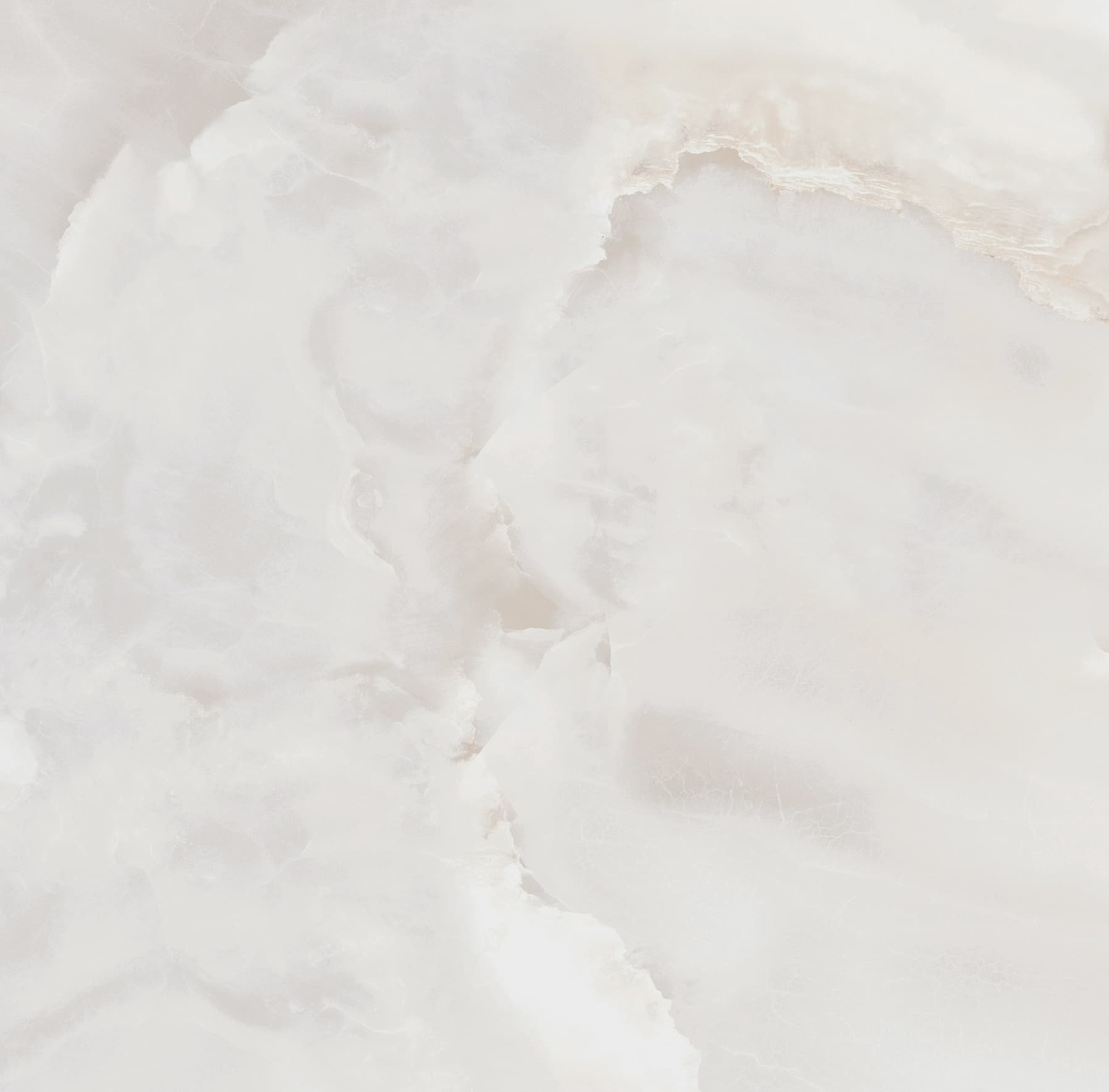 ONICE PEARL — фото 6