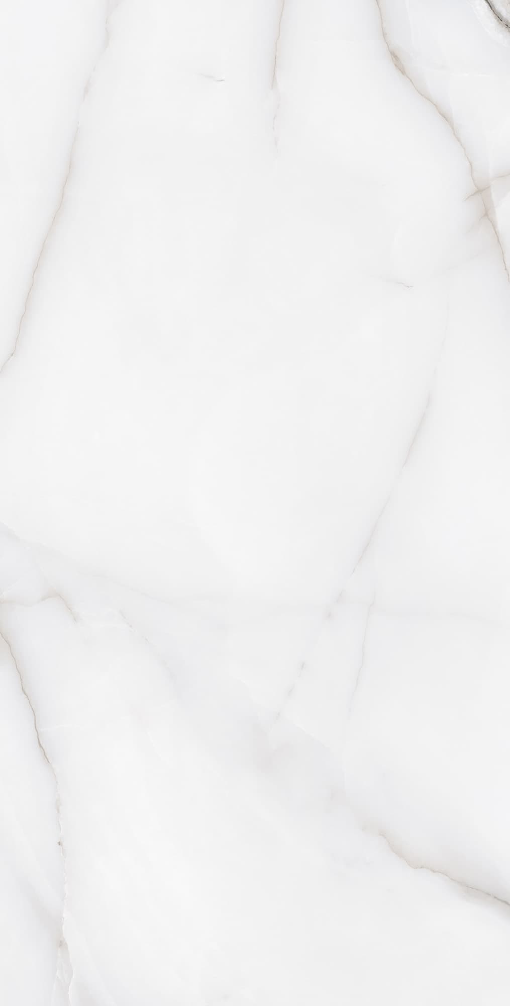 FEATHER ONYX — фото 5