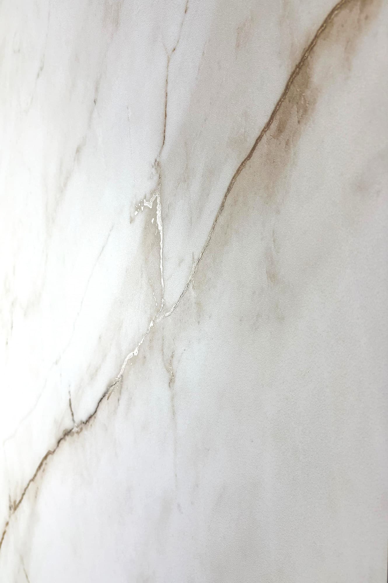 SELVA GOLD — фото 11