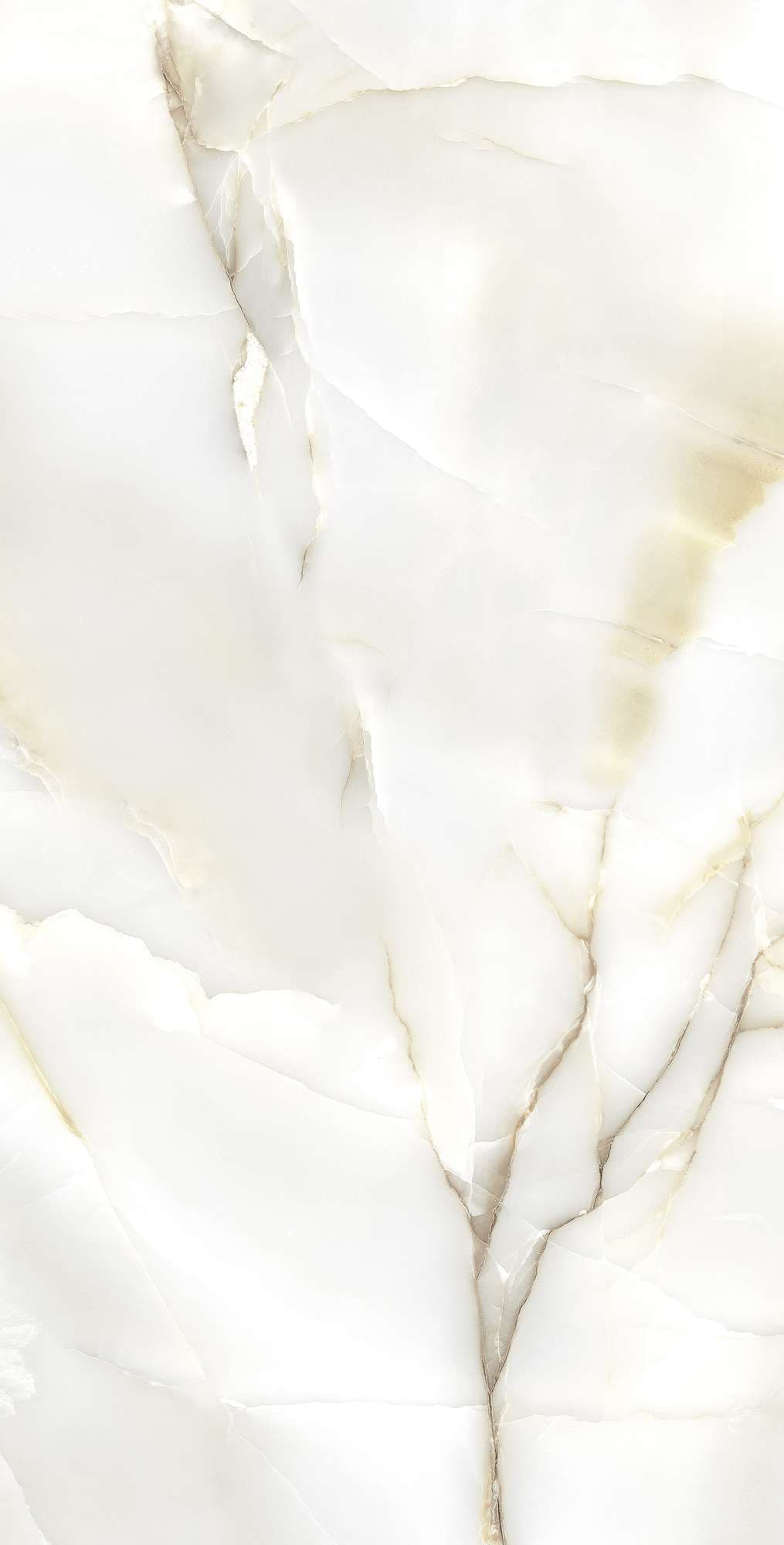 PRIMO ONYX — фото 6