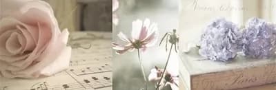 Плитка Decor Romantique 04 25x75 — фото 2