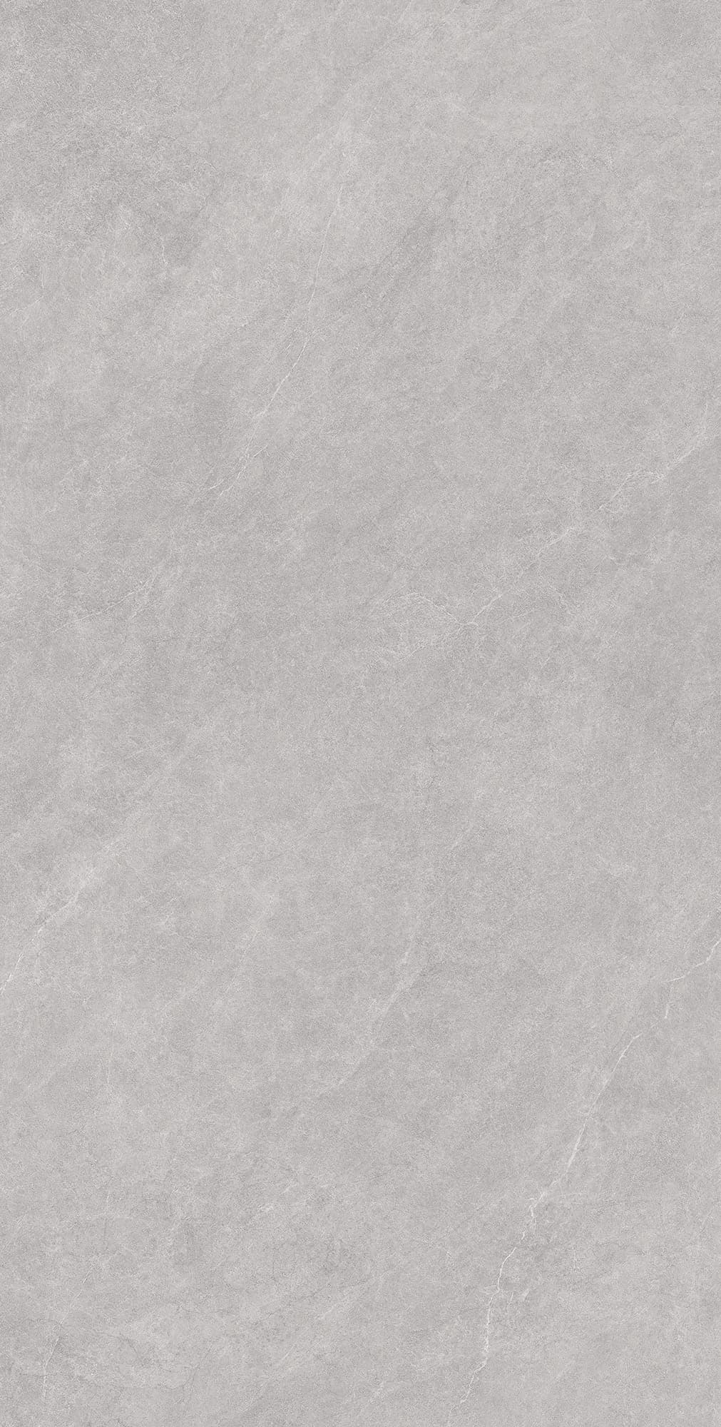 LISTELLO BIANCO — фото 5