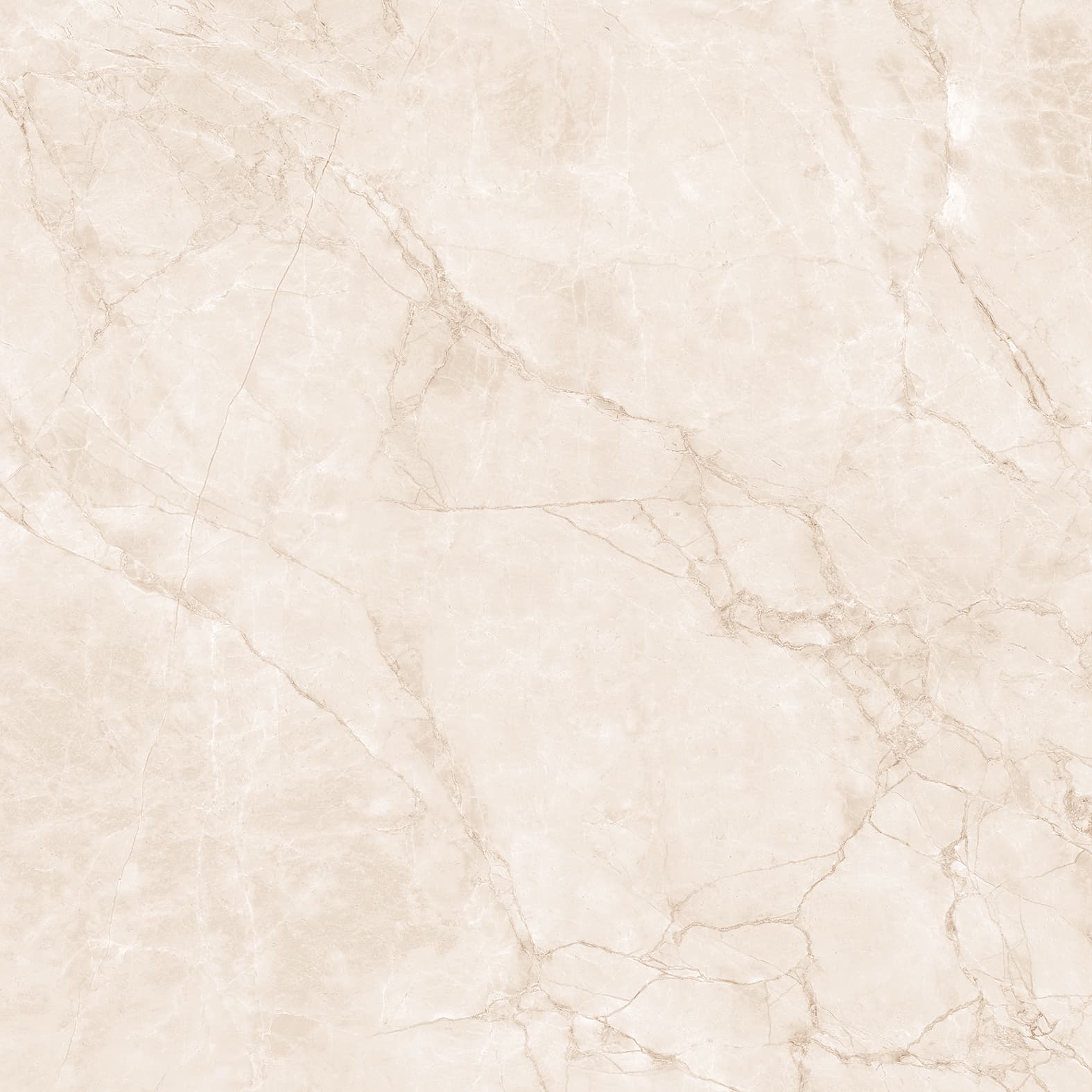 ARCTIC PEARL — фото 13