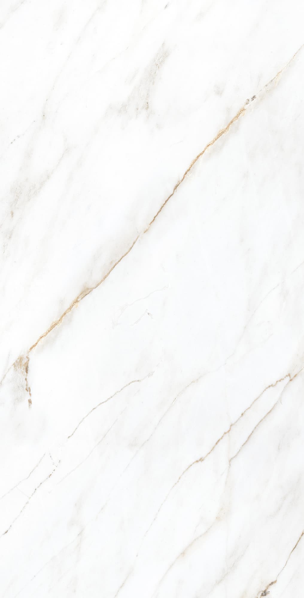 SELVA GOLD — фото 8