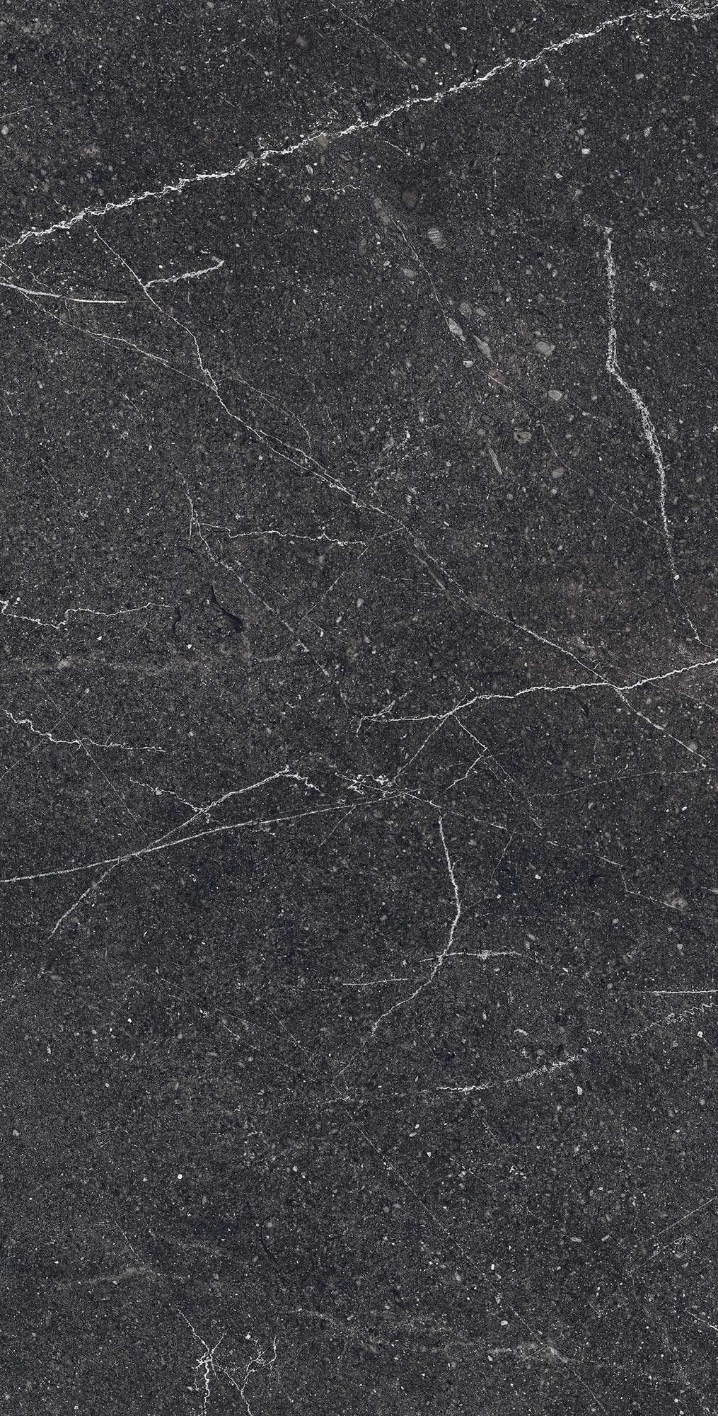 EQUISTONE CHARCOL — фото 4