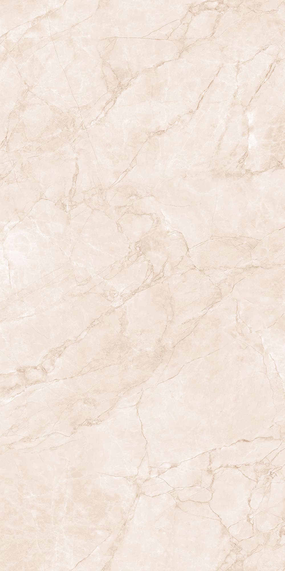 ARCTIC PEARL LAPPATO — фото 6