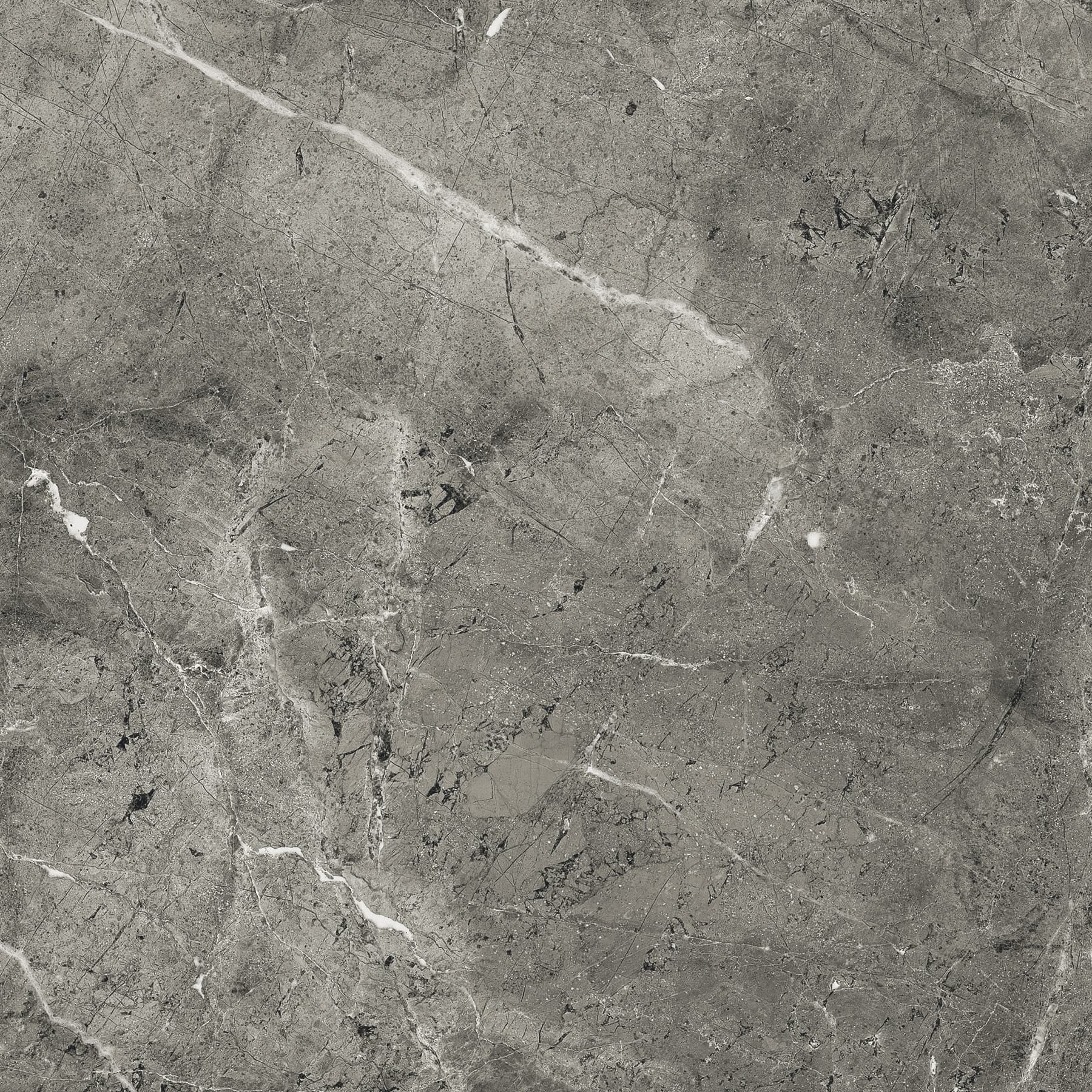 FLORENCIA GREY — фото 13