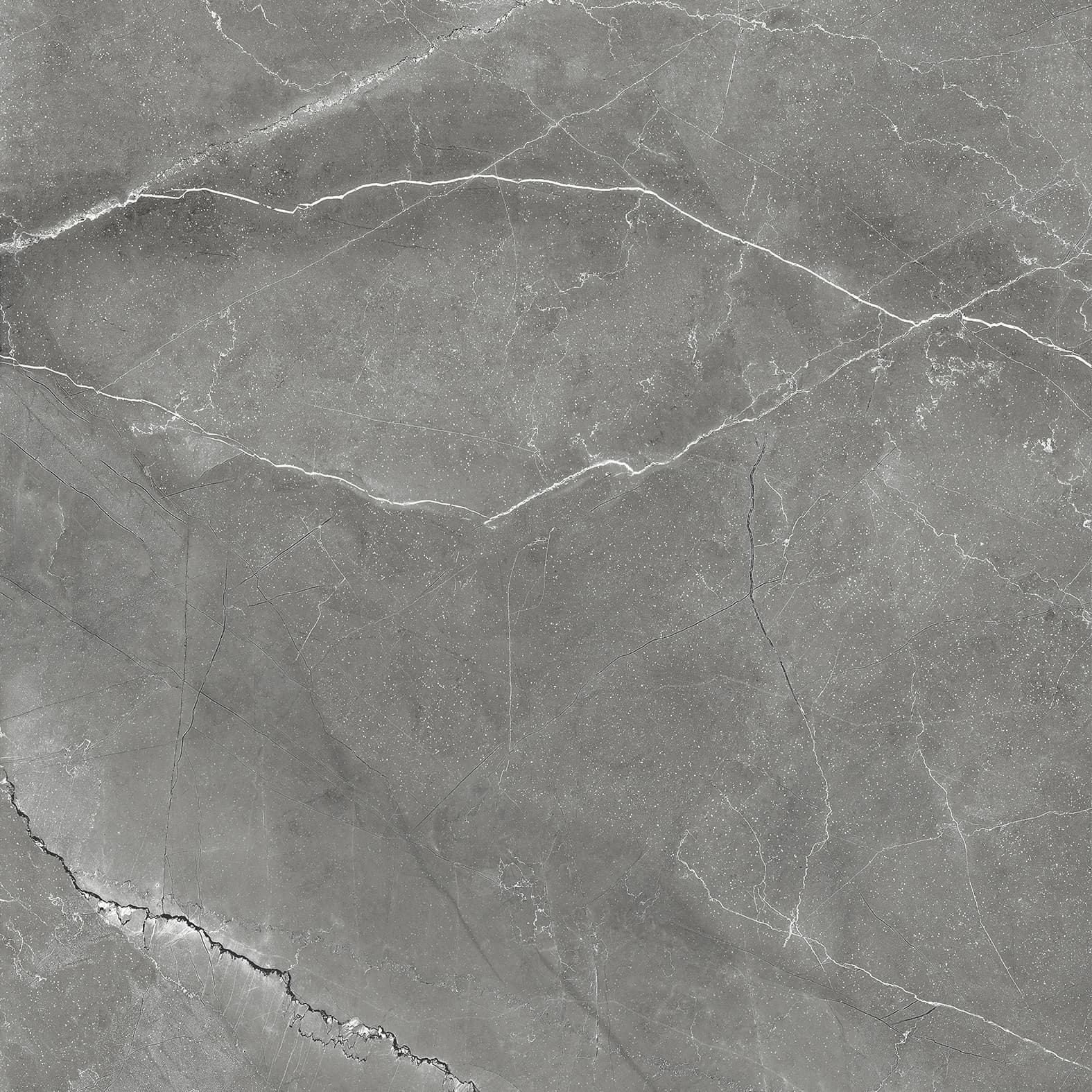 PULPIS NERO — фото 5