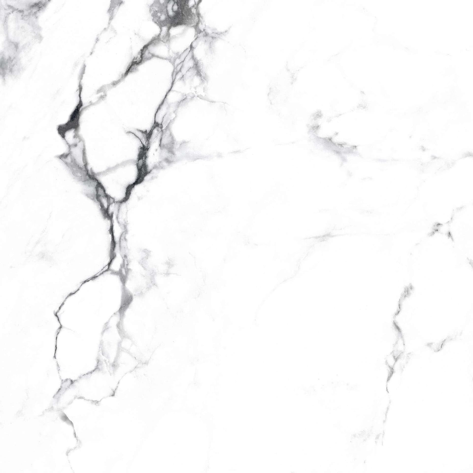 BORGHINI SILVER — фото 18