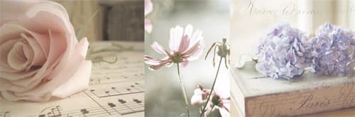 Плитка Decor Romantique 04 25x75