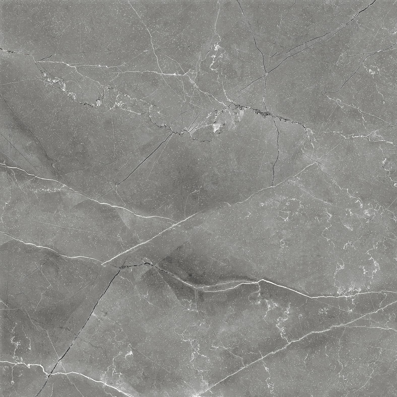 PULPIS NERO — фото 3