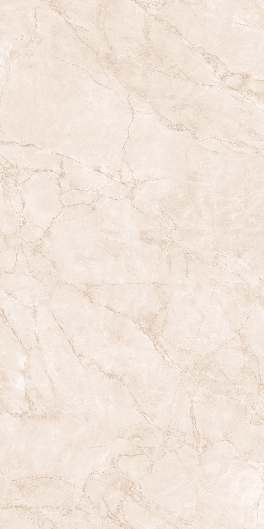 ARCTIC PEARL — фото 11